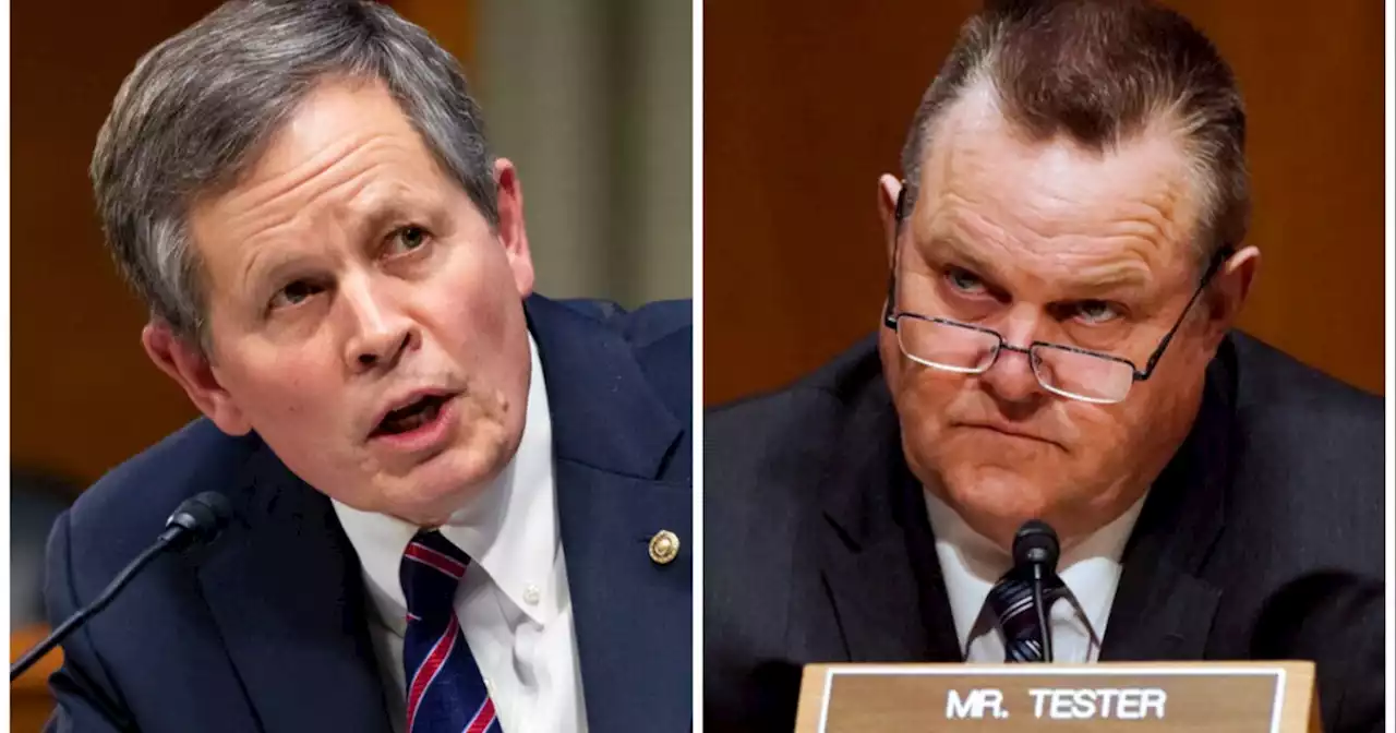 Montana Sens. Tester and Daines's feud heats up ahead of pivotal 2024 contest