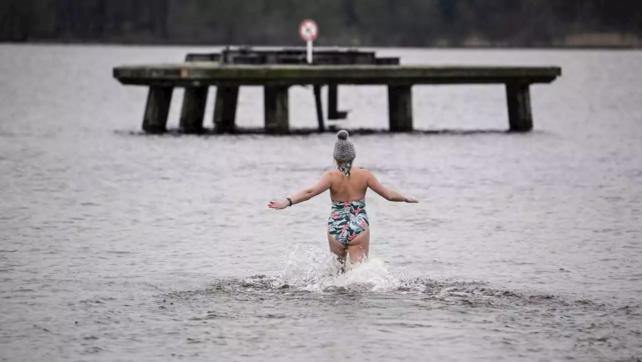 Anbaden im Wannsee: Pack' die Badehose ein - das Wasser hat 8,4 Grad