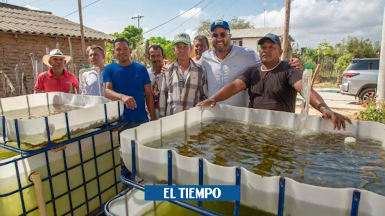 En Santa Lucía comenzaron a producir peces y verduras en los patios