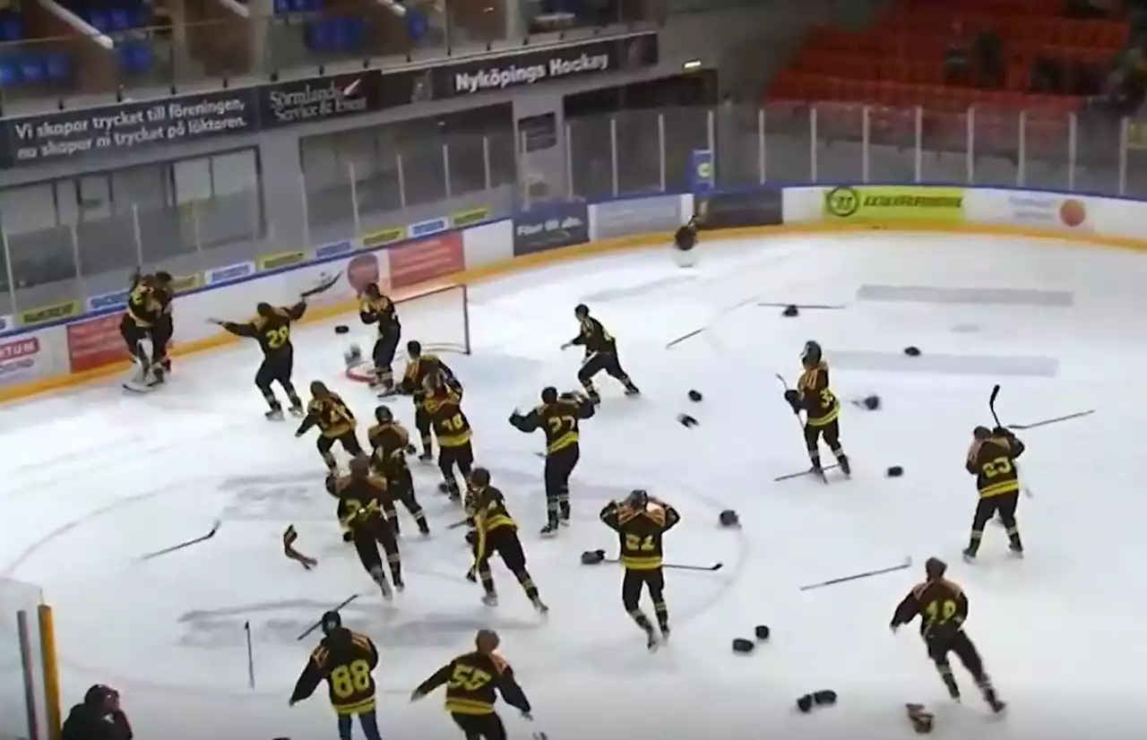 Historiskt SM-guld för Brynäs U16