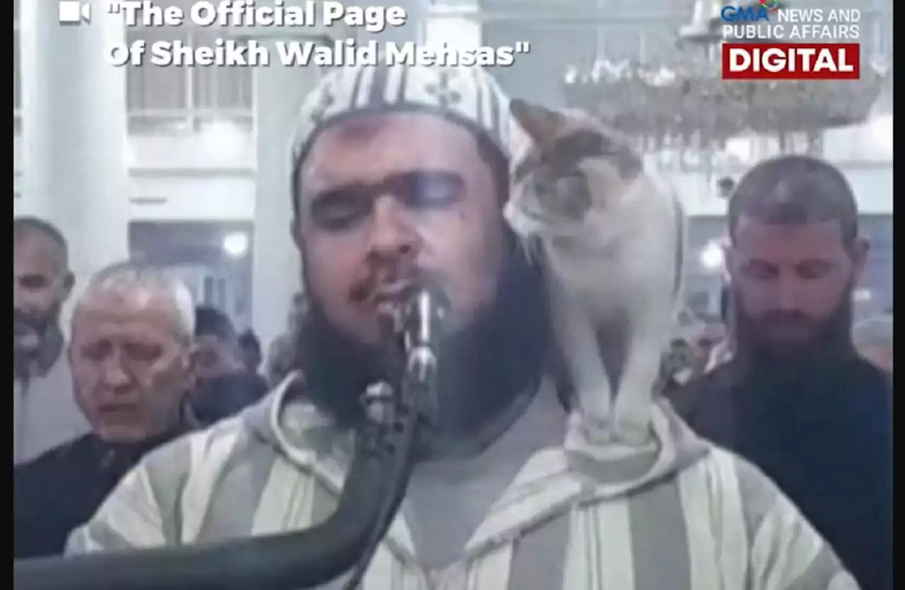 Pusa, umakyat sa balikat ng nagdarasal na sheikh sa isang mosque sa Algeria