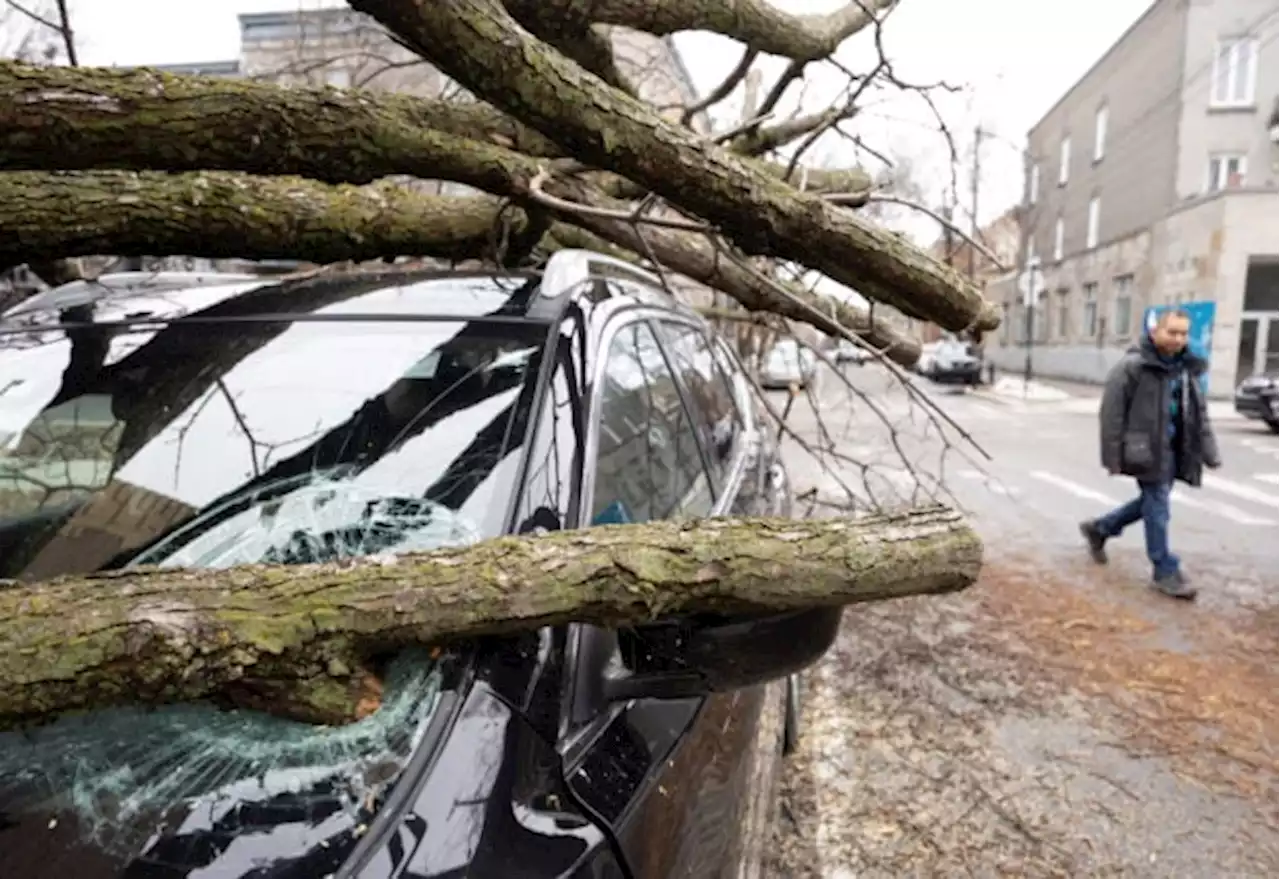 Two dead, over a million without power after ice storm hits Canada