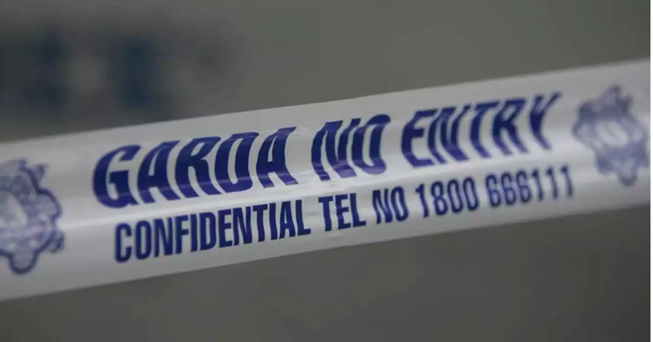 Man (19) who died after being struck by bus in Longford named as Martin McDonnell