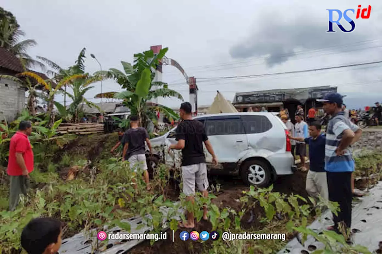 Gegara Tangan Kram, Mobil Terjun Bebas di Area Pertanian Milik Warga Jatirejo