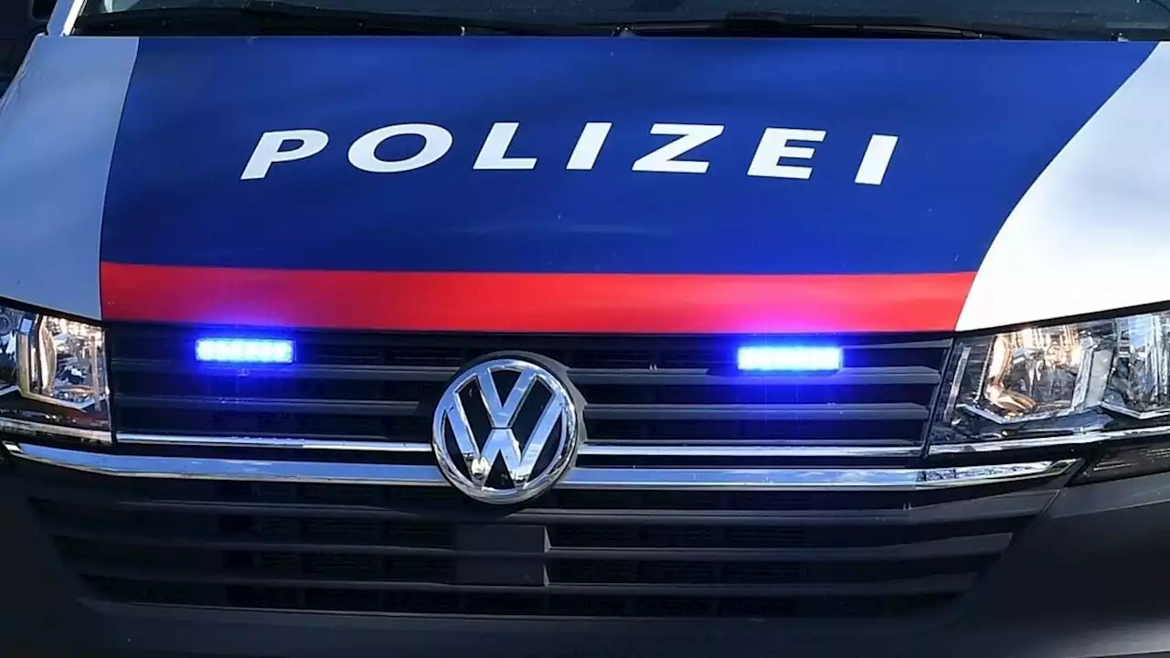 Zechprellerei: Frau attackierte Polizisten vor Bar