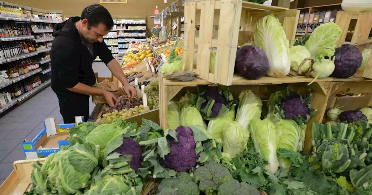 La Ciotat : face à l’inflation, des habitants expérimentent les 'paniers surprises' d'invendus