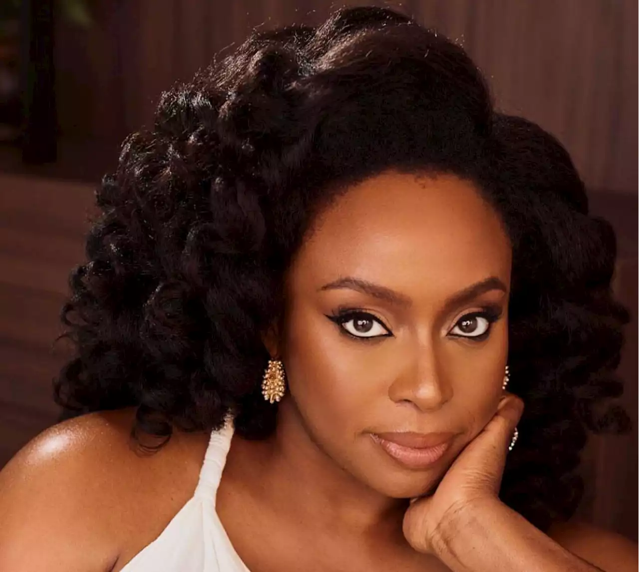 Chimamanda's Letter To Biden Fiction Inspired By Peter Obi's Loss - Onanuga