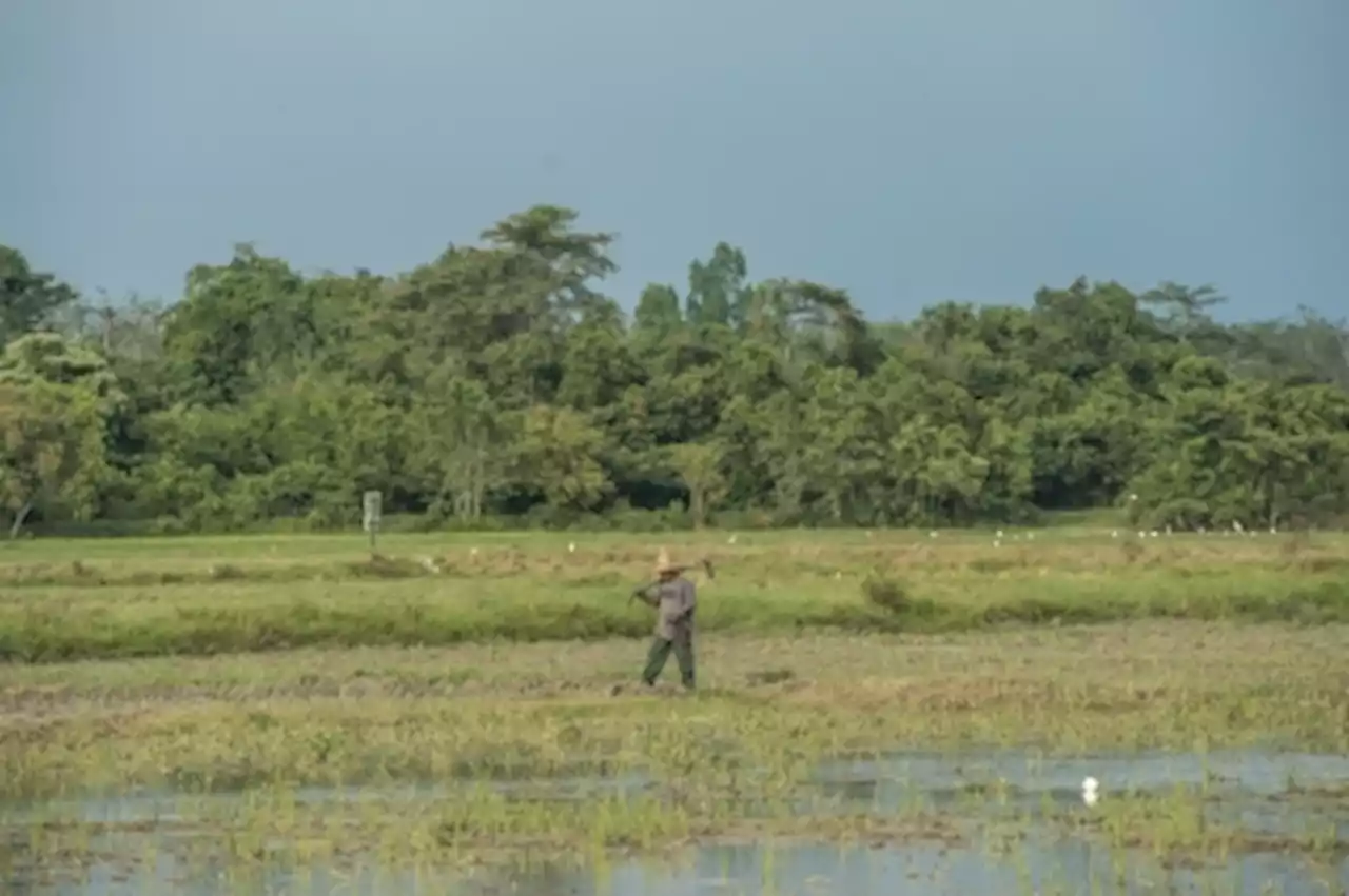 Agriculture Ministry: Paddy farmers, fishermen to receive Aidilfitri aid starting April 10