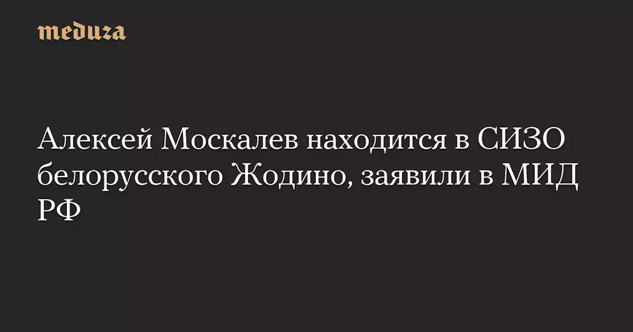 Алексей Москалев находится в СИЗО белорусского Жодино, заявили в МИД РФ — Meduza