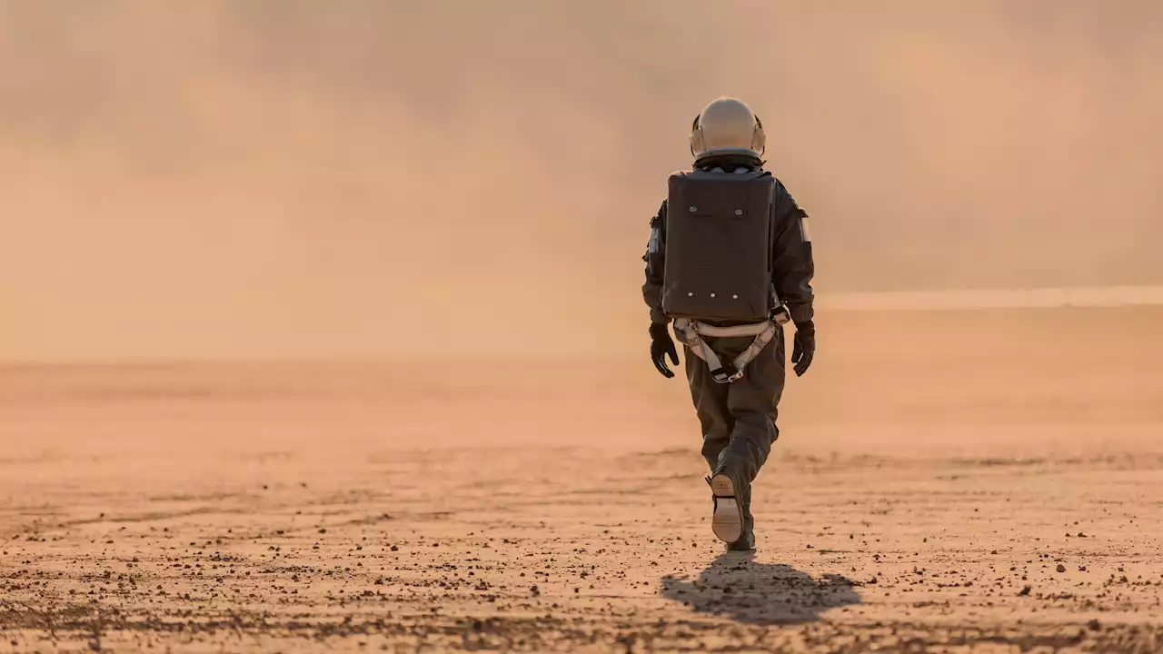 This Natural History Museum Party Will Put the ‘Gala' in Galactic