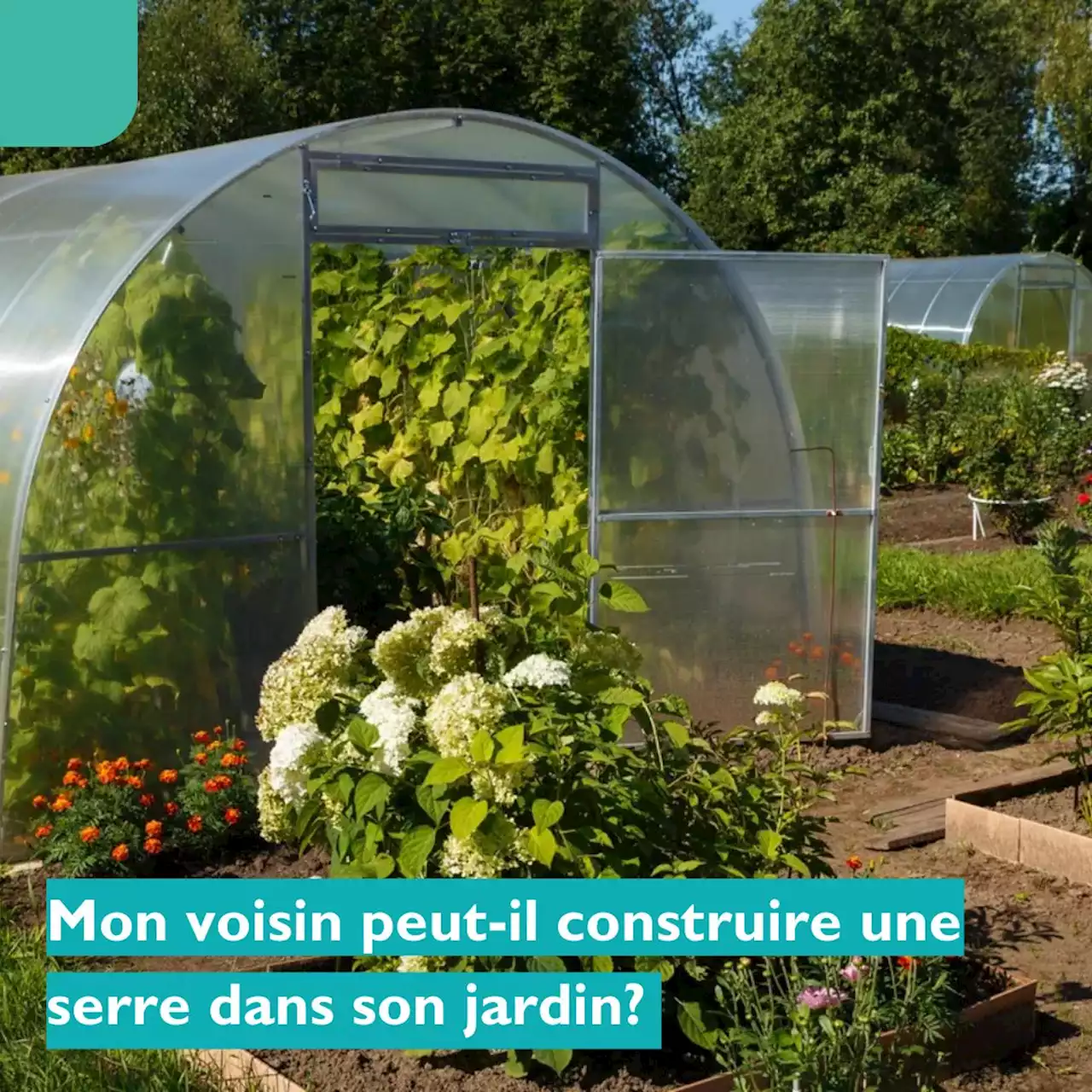 Mon voisin peutil construire une serre dans son jardin?