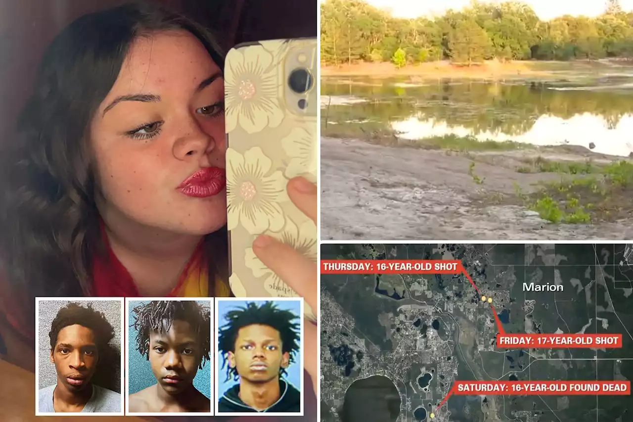 Two minors busted, another on the run in shocking triple murder of Florida teens