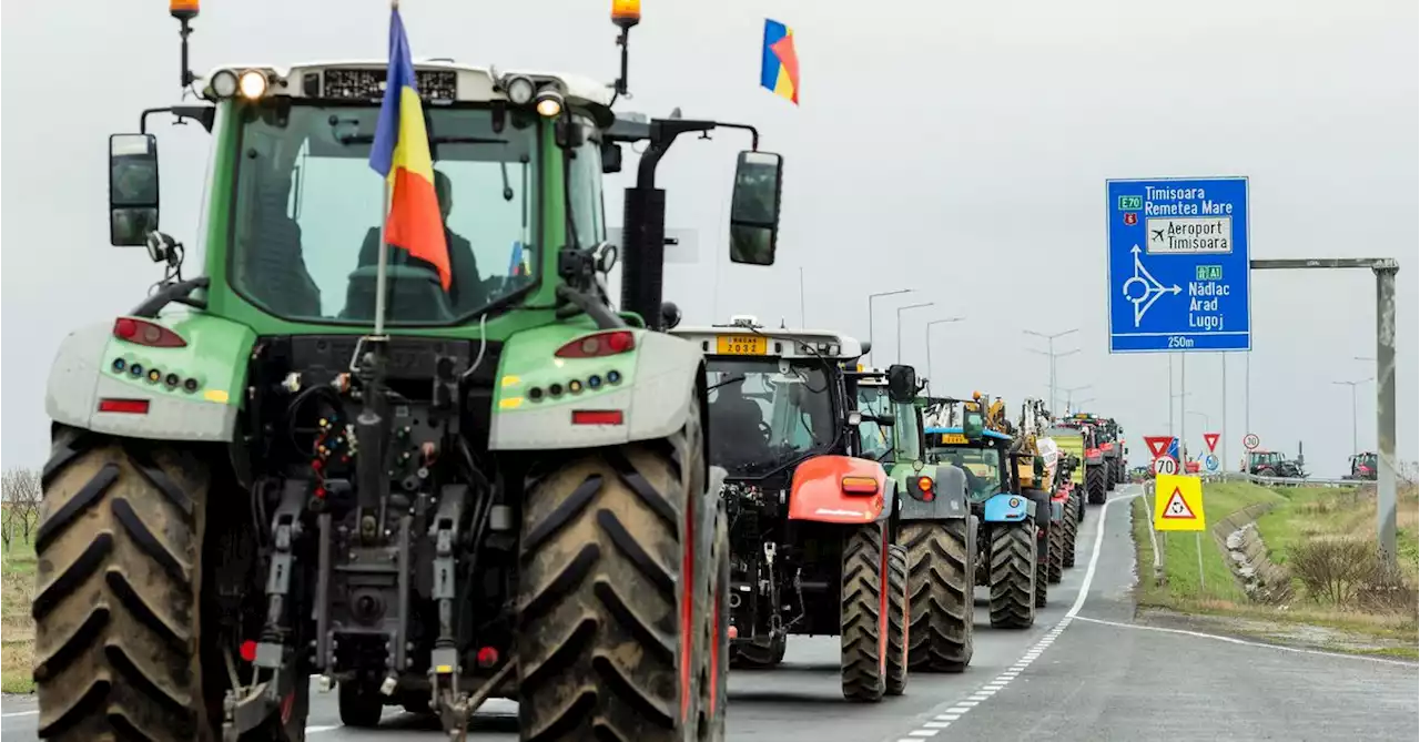 Romanian farmers block borders in protest over Ukrainian grain imports