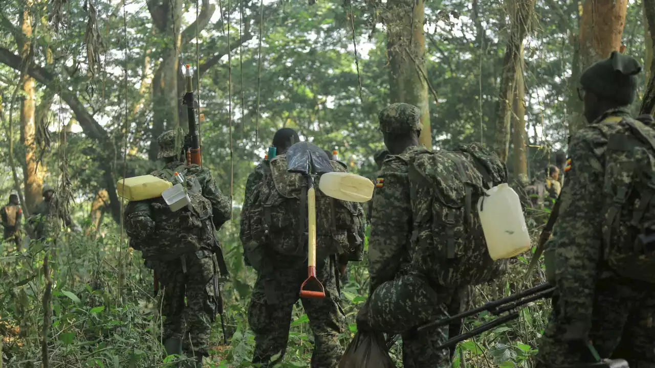 RDC: les armées congolaise et ougandaise font le point sur la 4e phase de l'opération Shujaa