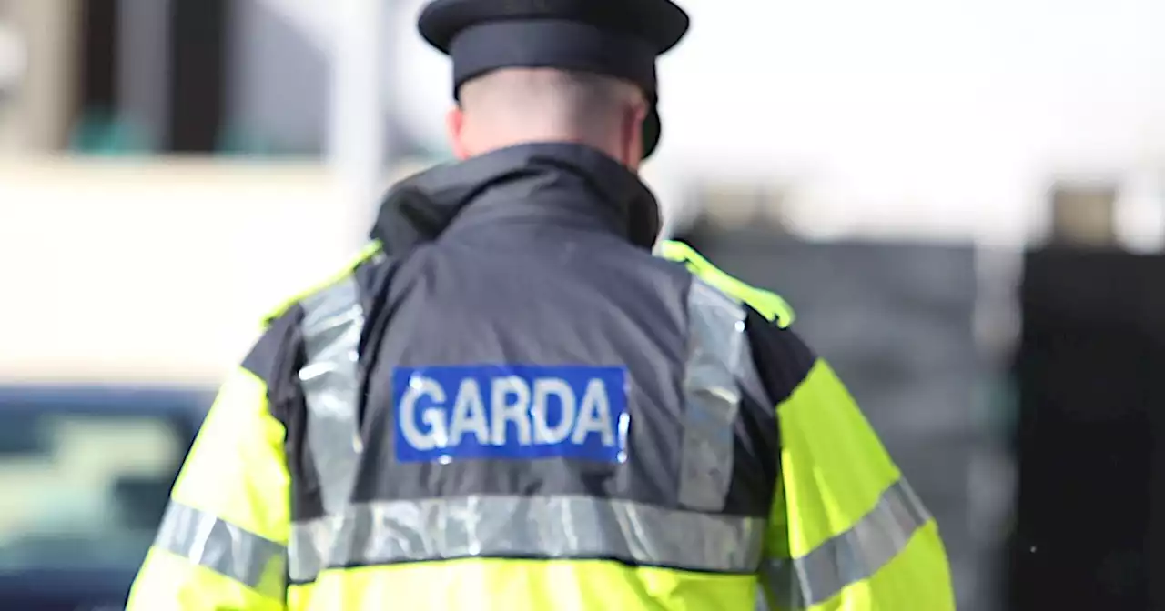 Teenager dies of fatal injuries from being struck by bus in Longford