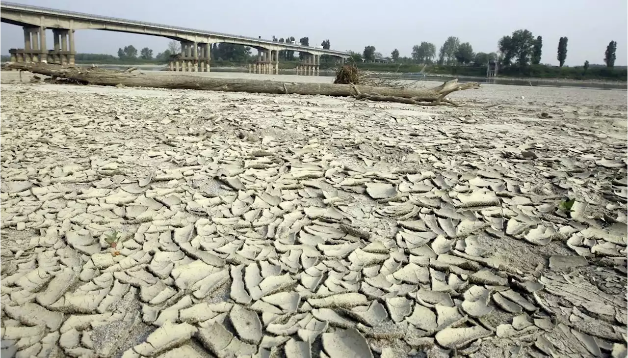 Regenwasser-Sammelbecken für Landwirtschaft - Schweizer Bauer