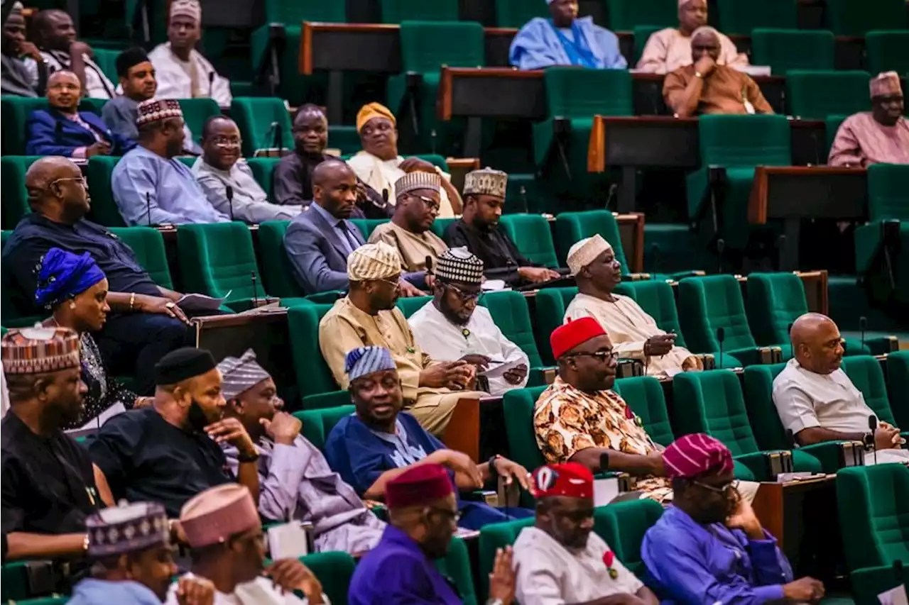 Reps ask FG to implement policies to boost revenue capacity of creative industry | TheCable