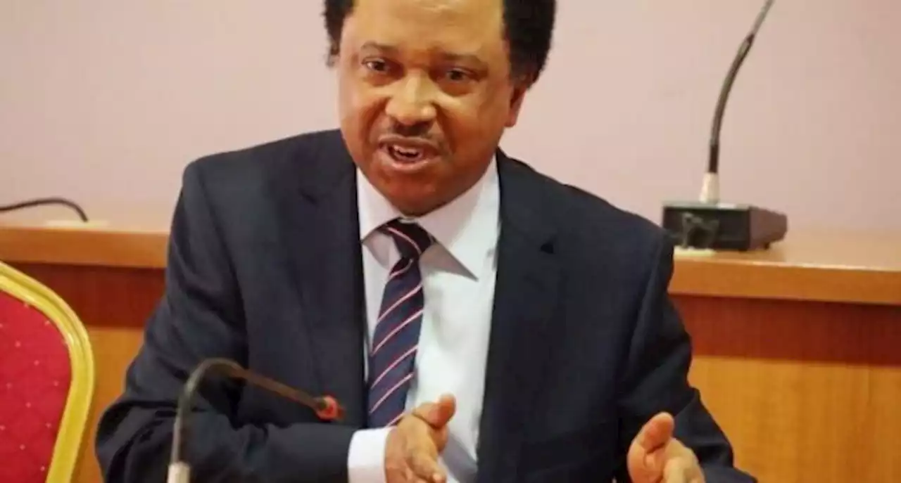 Obidients more peaceful than Buhari supporters in 2011, says Shehu Sani