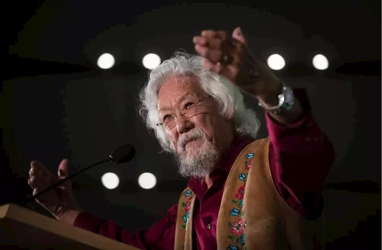 'Hanging in': David Suzuki shares insights as he retires from 'The Nature of Things'