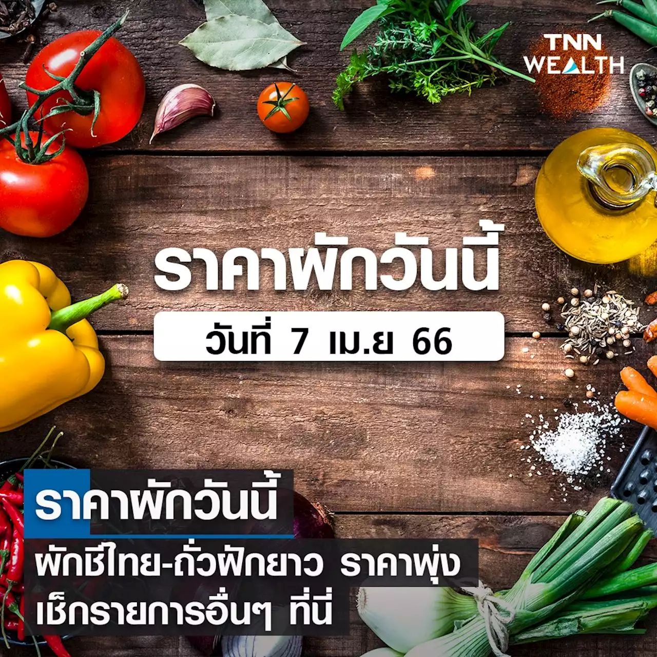 ราคาผักวันนี้ ผักชีไทย-ถั่วฝักยาว ราคาพุ่ง เช็กรายการอื่นๆ ที่นี่