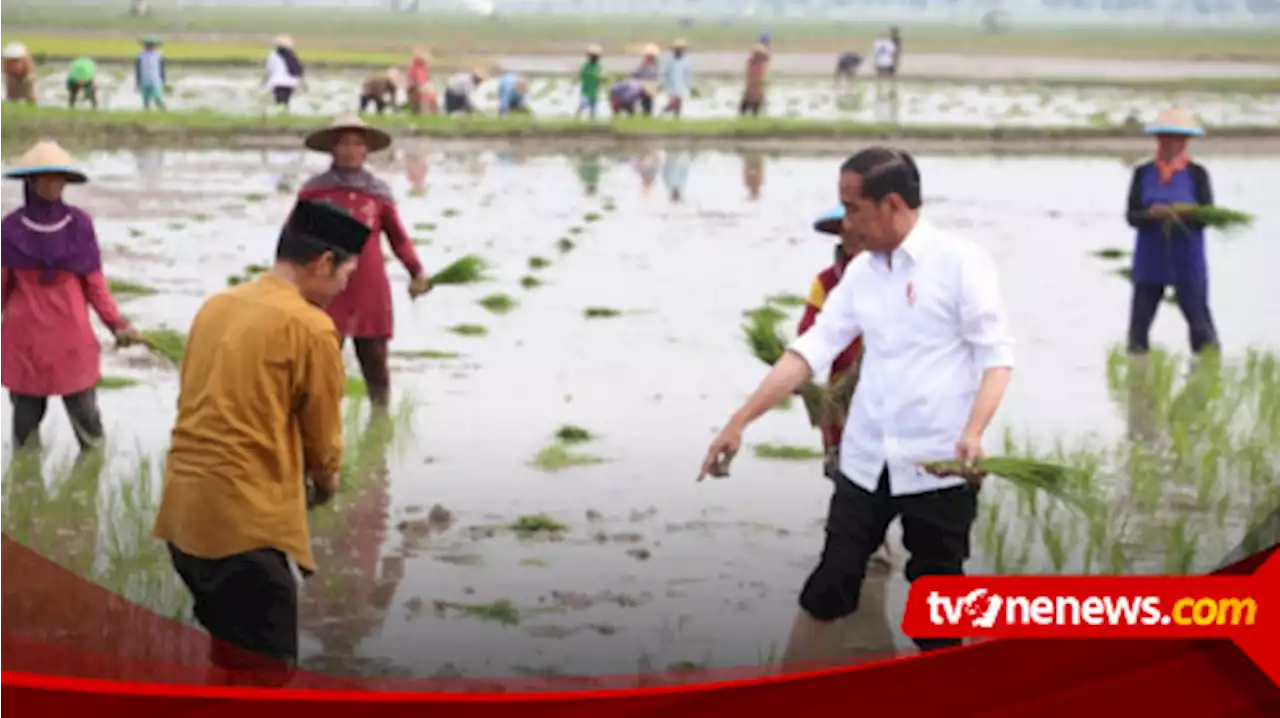 Gunakan Pupuk Organik, Petani Tuban Dipuji Presiden Jokowi