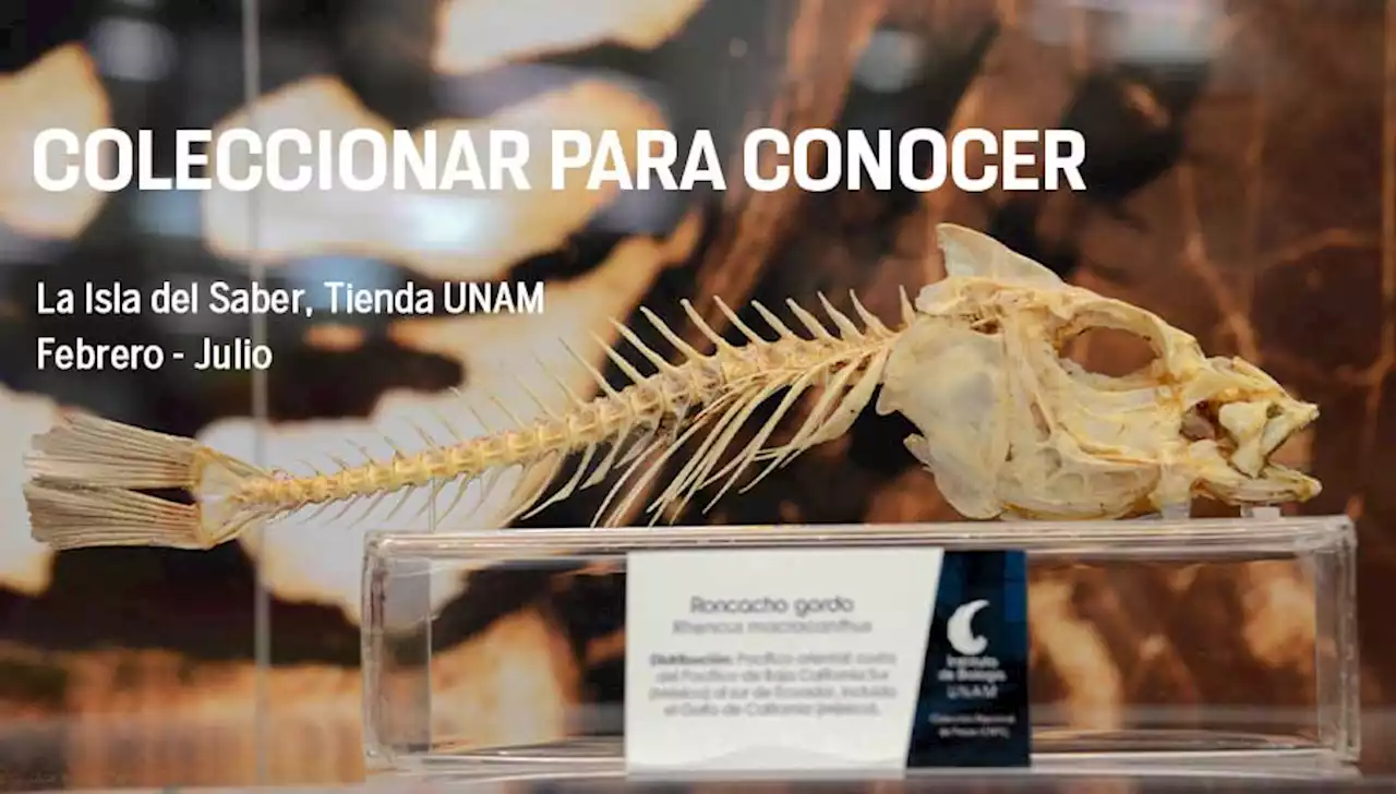 Coleccionar para conocer - Divulgación de la Ciencia, UNAM