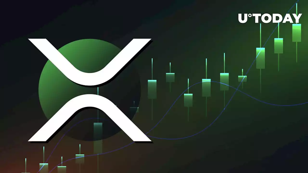 XRP Price Suddenly Turns Green, Here's What's Happening