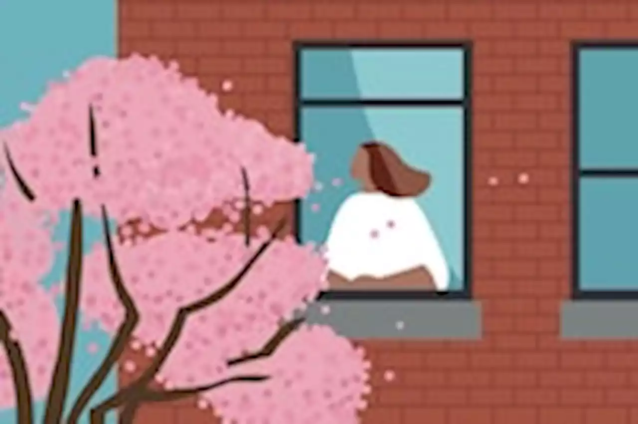How to spring clean your mind