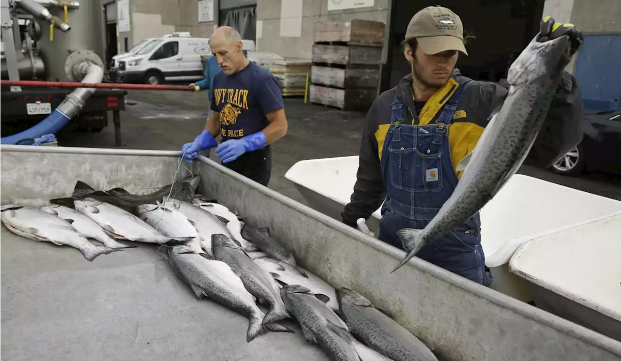 Pacific Ocean regulators decide to close California salmon fishing season for 2023