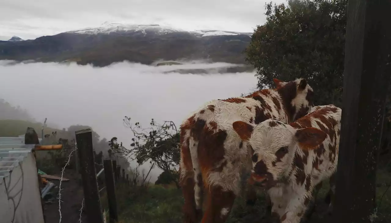 Pese al riesgo, en Murillo, el pueblo más cercano al volcán Nevado del Ruiz, hay calma