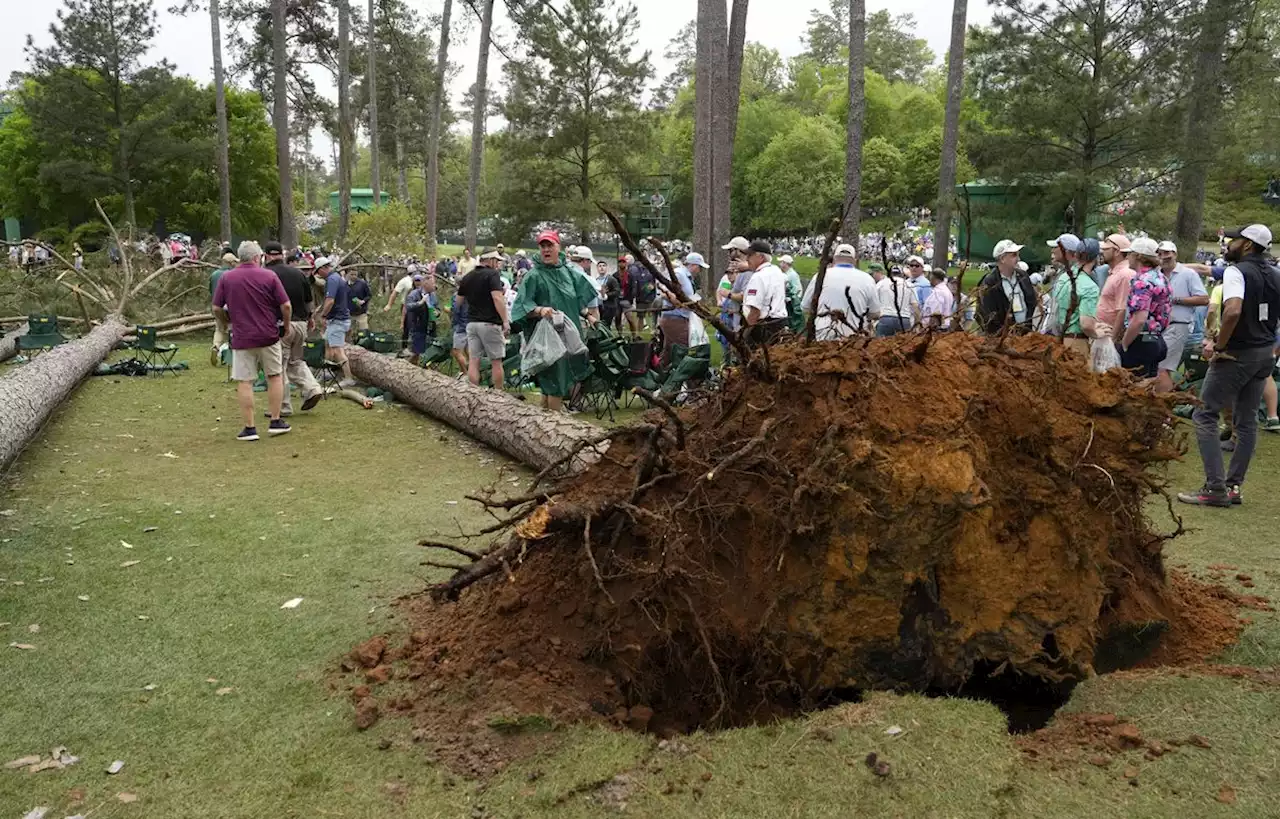 Frayeur au Masters d’Augusta après la chute de trois arbres