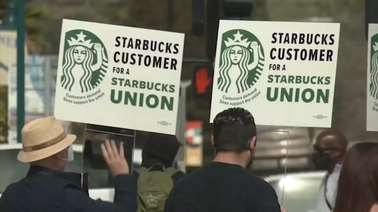 Starbucks workers in Sunnyvale are latest to start organizing union for better wages, hours