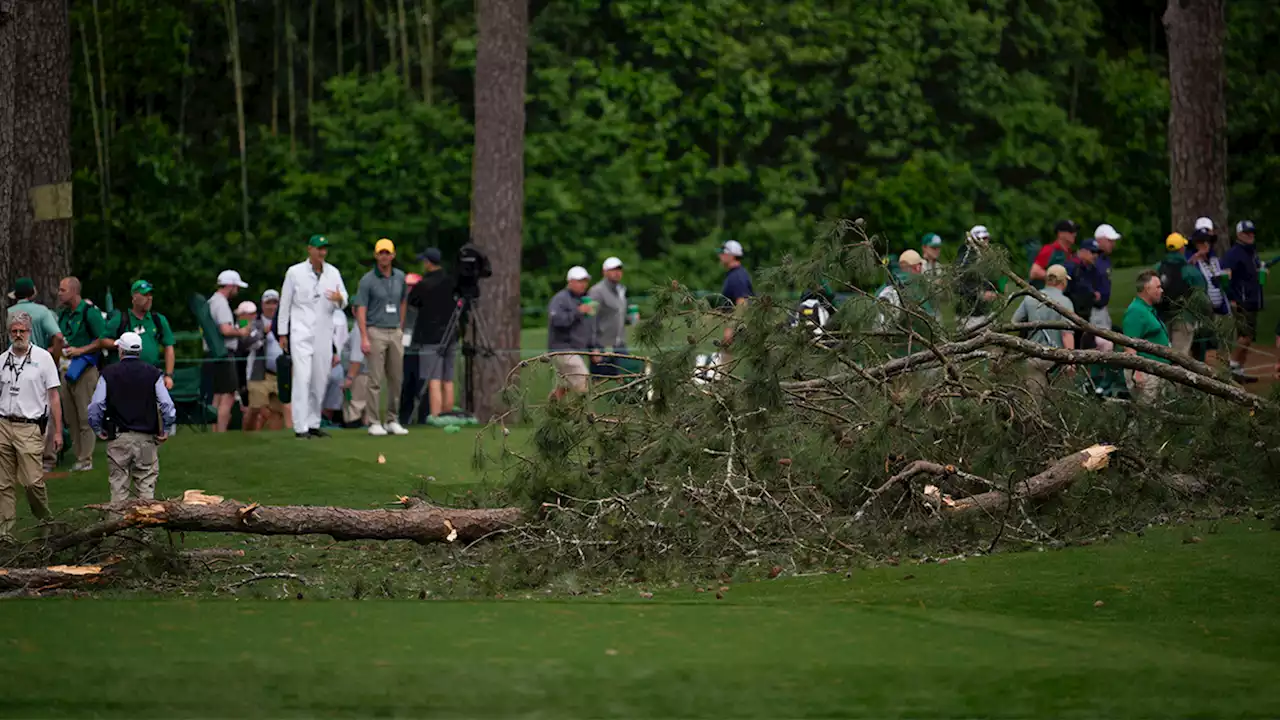 Storms bring down trees at Masters golf tournament, play halted in 2nd round