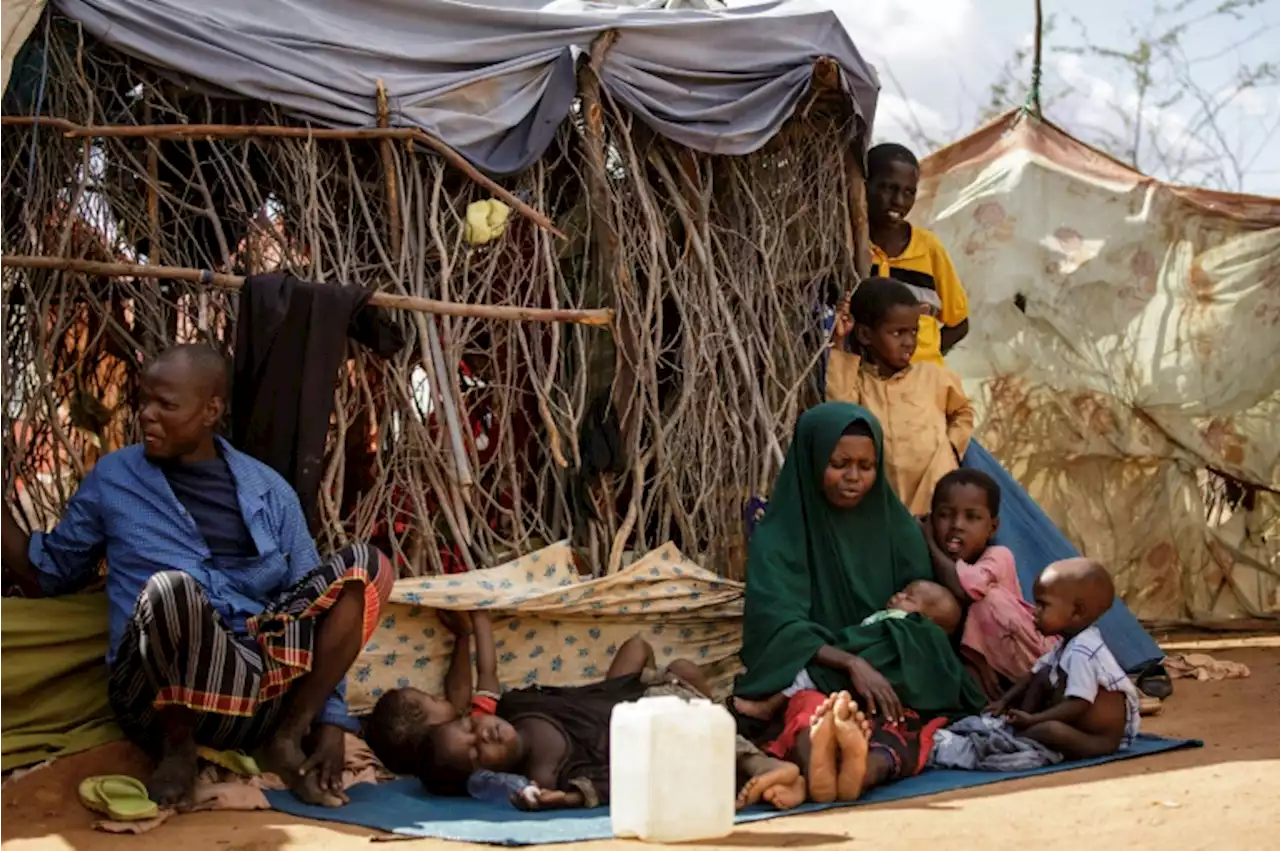 Dans un camp du Kenya, l'appel à l'aide des Somaliens qui ont fui sécheresse et violences