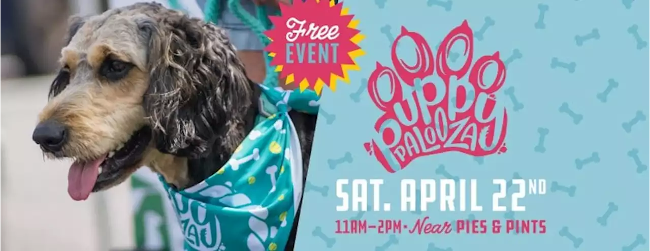 'Puppy Palooza' rescheduled due to the threat of inclement weather - Alabama News