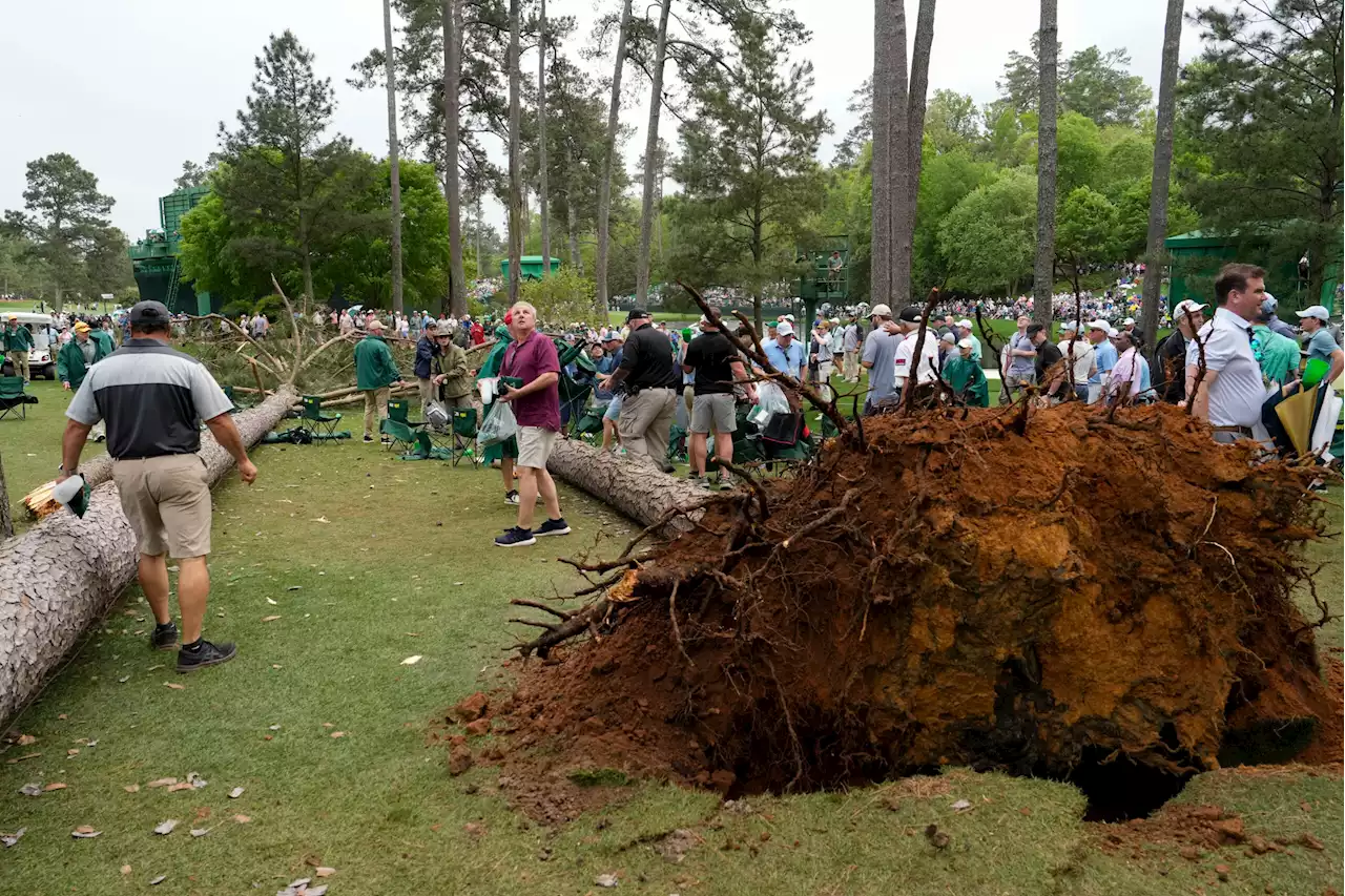 Storms bring down trees at Masters, play halted in 2nd round - Alabama News