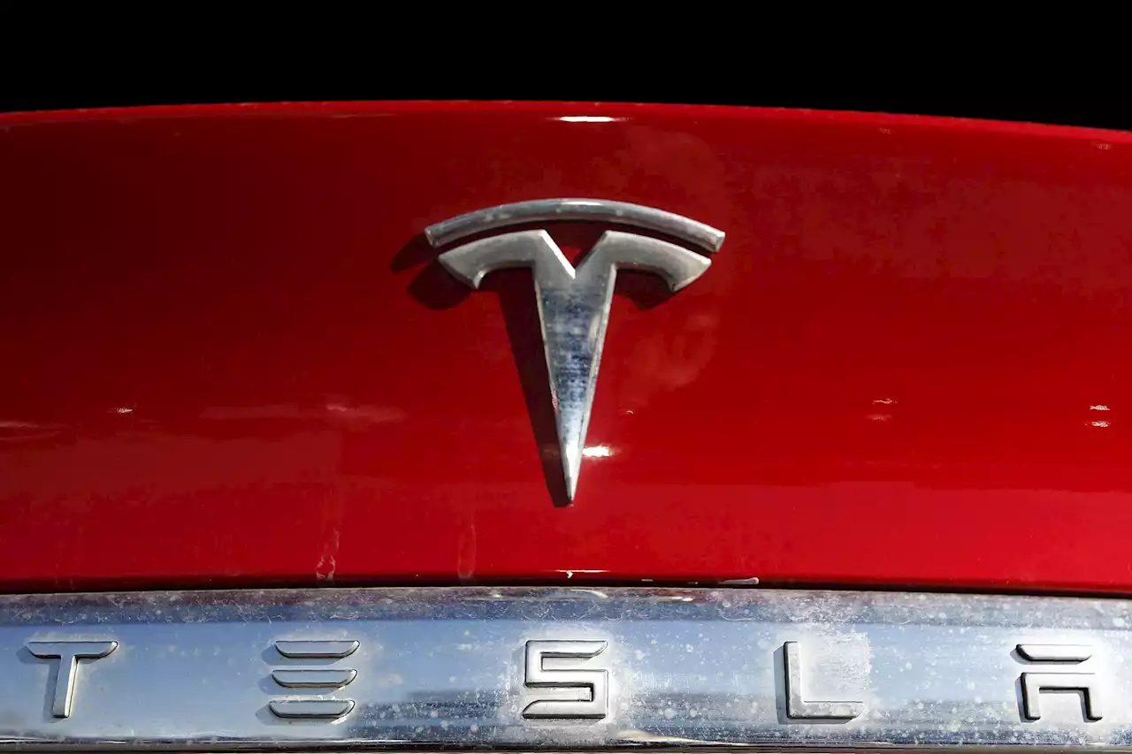 US probes crash involving Tesla that hit student leaving bus