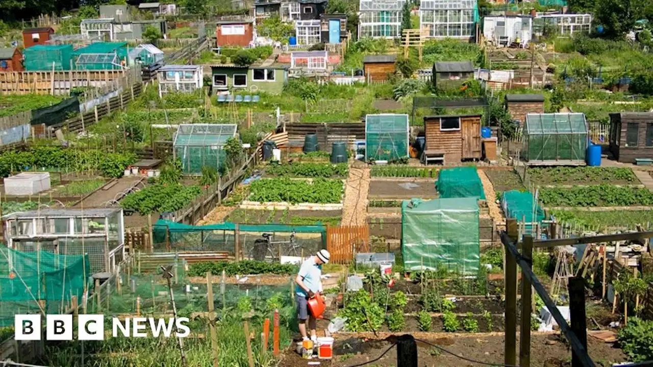 Glasgow allotment rent to increase by nearly 400%