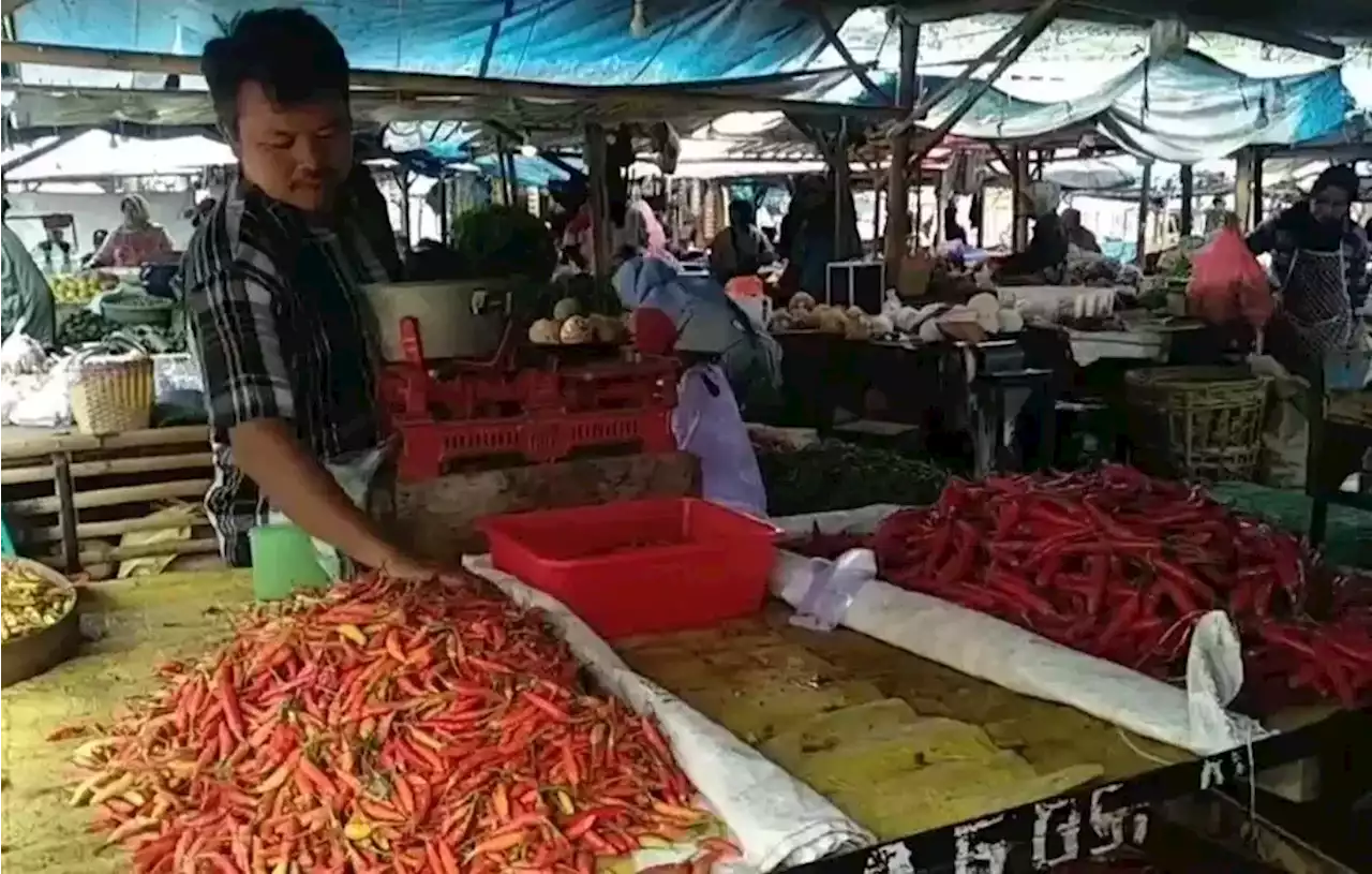 Jelang Lebaran 2023, Harga Cabai Turun Drastis di Trenggalek