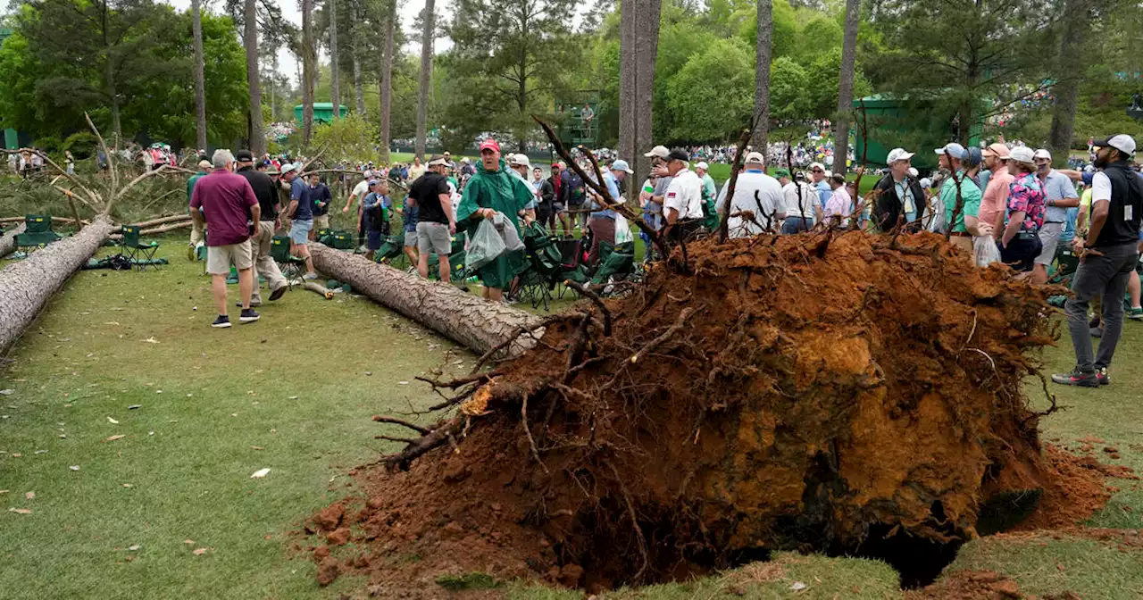 WATCH: Trees fall near spectators during Masters golf tournament