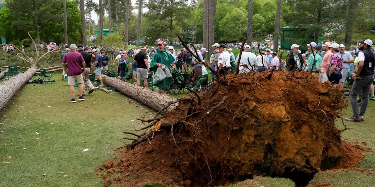 Masters resumes 2nd round after storms fell trees at Augusta