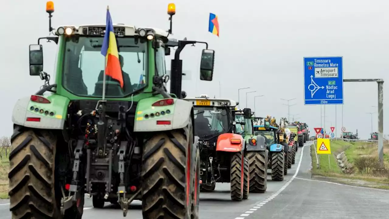 Glut of cheap Ukrainian grain sparks farmers' protests | CNN