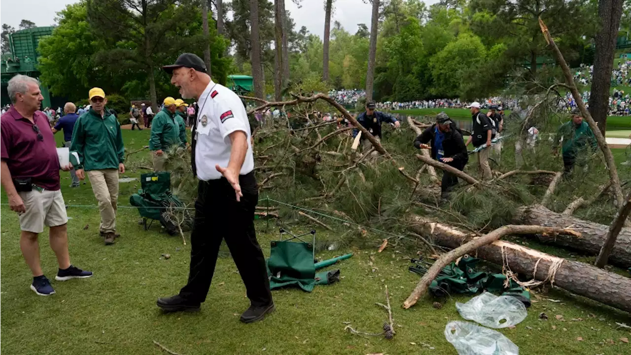 Storms bring down trees at Masters, play halted in 2nd round