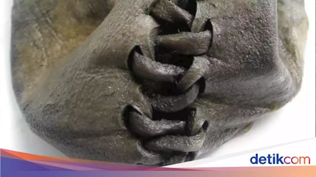 Sepatu Bot Berusia 3.000 Tahun Ditemukan Mencair Bareng Bongkahan Es