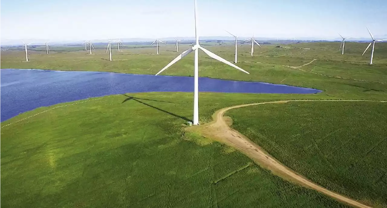 Compra de plantas de Iberdrola fortalecen soberanía energética: Morena | El Universal