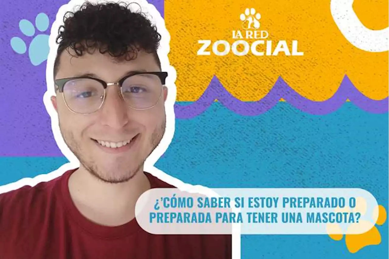 (VIDEO) ¿Cómo saber si estoy preparado o preparada para tener una mascota?