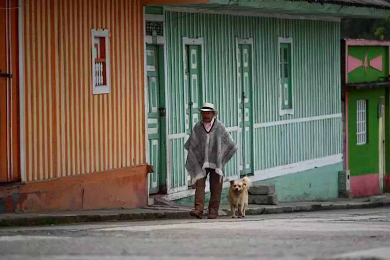 Volcán Nevado del Ruiz: ¿cómo evacuar de manera segura con sus animales?