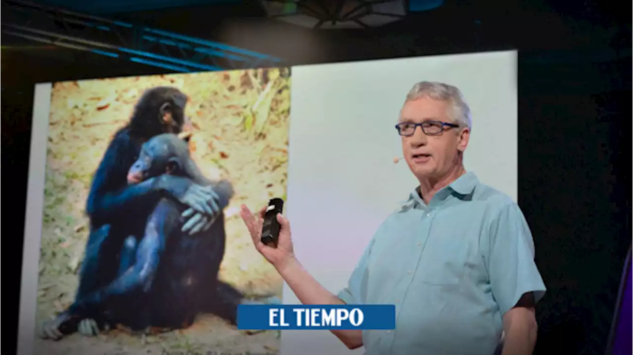 Evolución: ¿qué tienen que ver los primates con las crisis financieras globales?