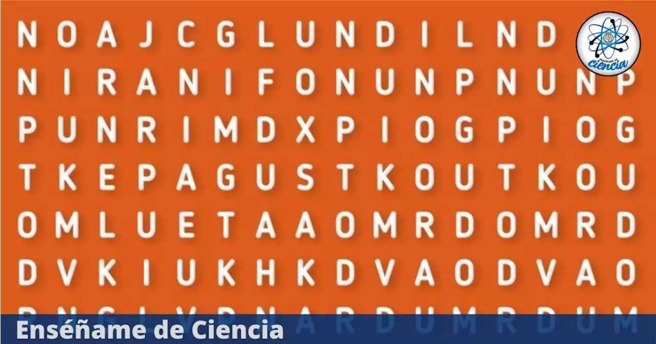 Halla la palabra “GUITARRA” que se esconde en la sopa de letras; solo tienes 6 segundos