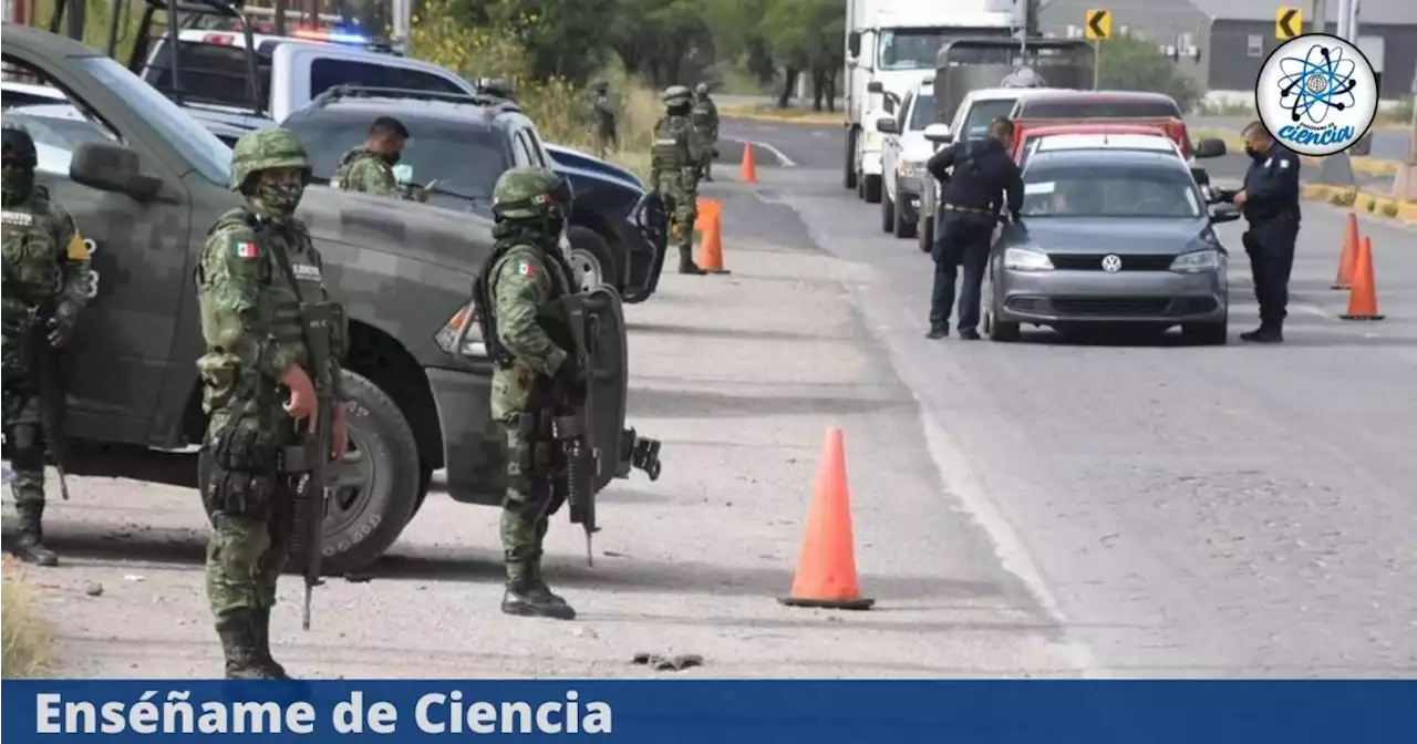 Infracciones raras por las que podrían multarte cuando viajas en carretera: Evita pasar un mal rato